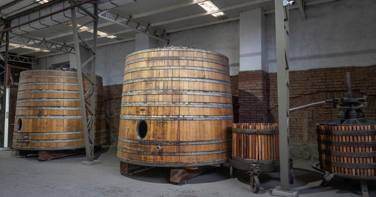 Interior view of wooden barrels used for wine fermentation in a Santiago, Chile winery.