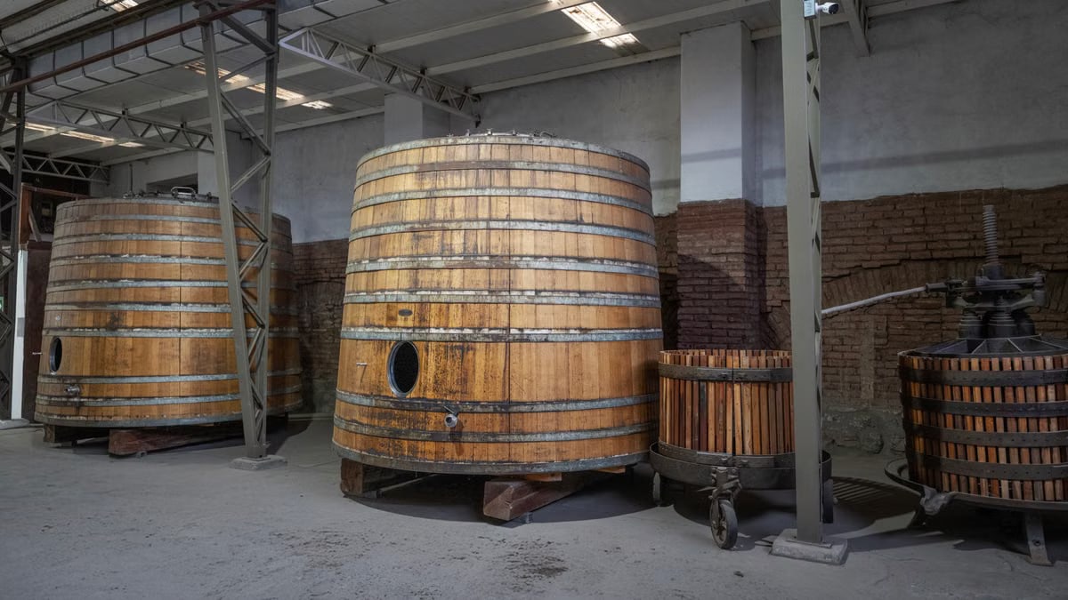 Interior view of wooden barrels used for wine fermentation in a Santiago, Chile winery.